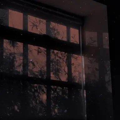 Profile image of 서한솔