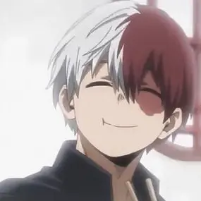 Profile image of Shoto Todoroki