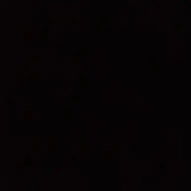 Profile image of 카미시로의 닌자들