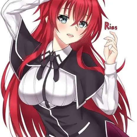 SkinnyShark7455의 High school dxd