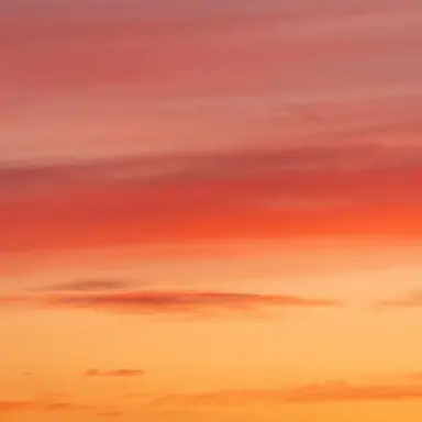 Profile image of 스사마루