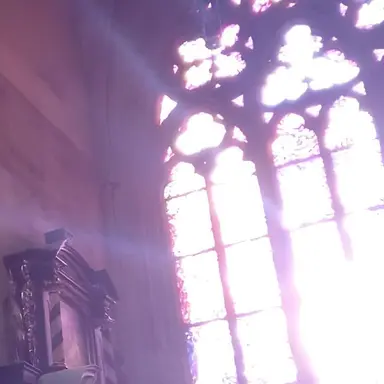 Profile image of 수현