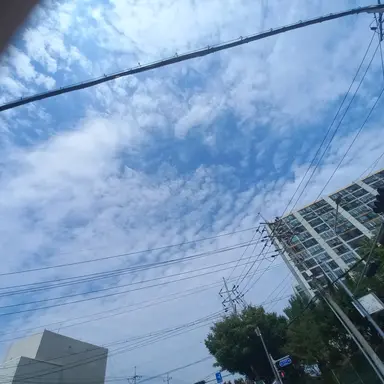 Profile image of 연숙수