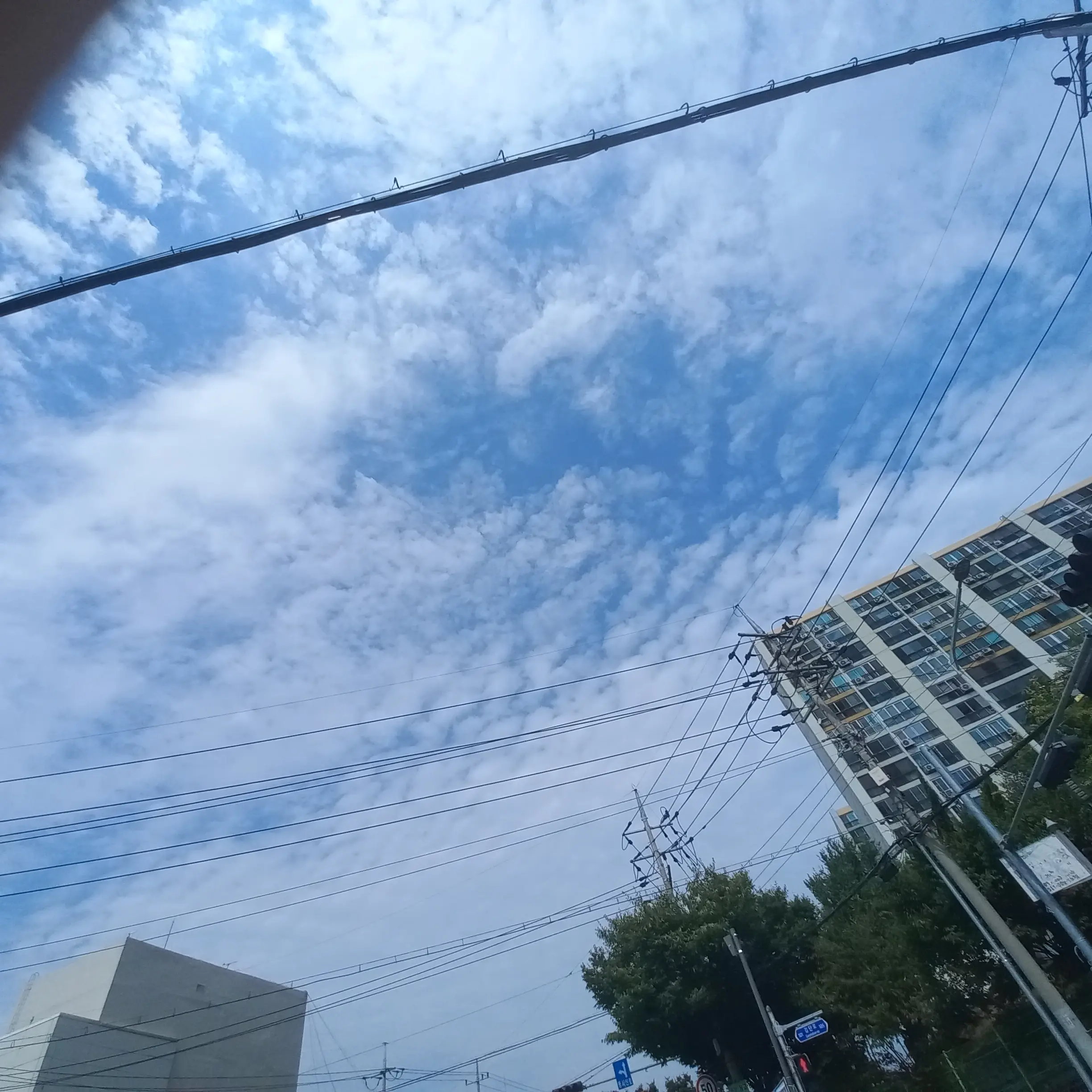 SnowyCrisp9569의 폭군의 셰프5