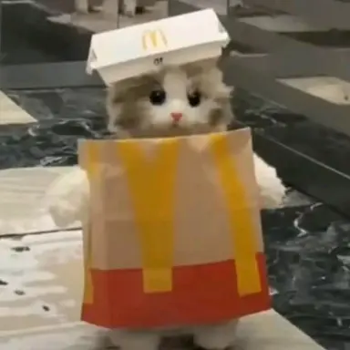 Profile image of 강지혁