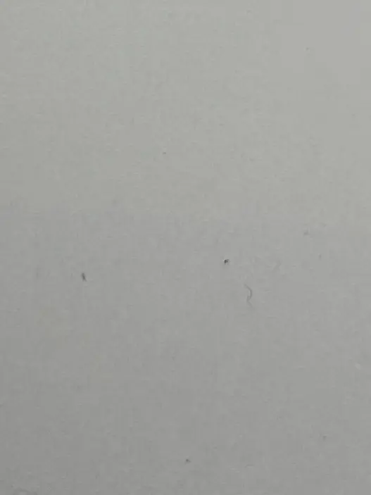 __xxwon의 이리오