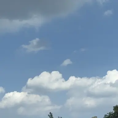 Profile image of 한유진