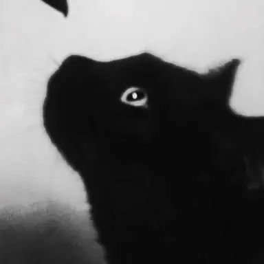 Profile image of ミョハン