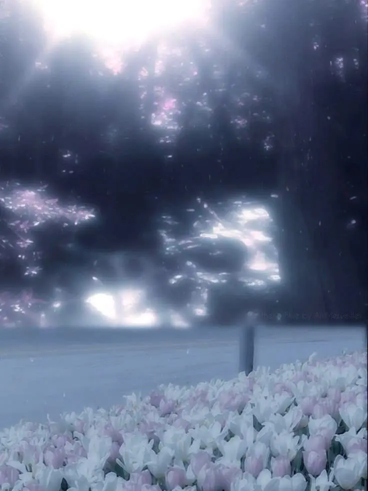 .0lqn_e의 ˹ ☆  ˼