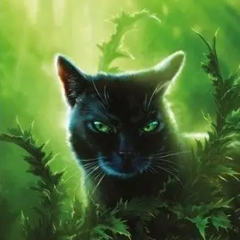 Profile image of 홀리포
