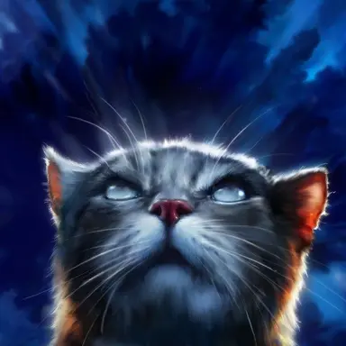 Profile image of 제이포