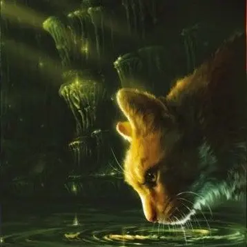 Profile image of 라이언포