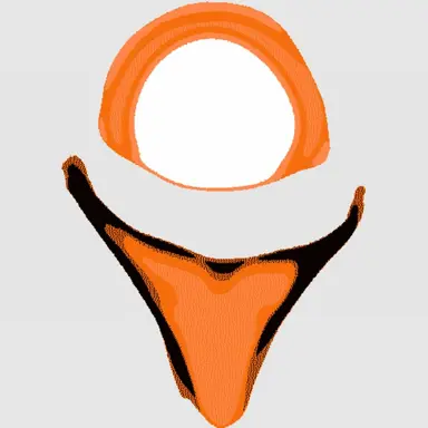 Profile image of E-22