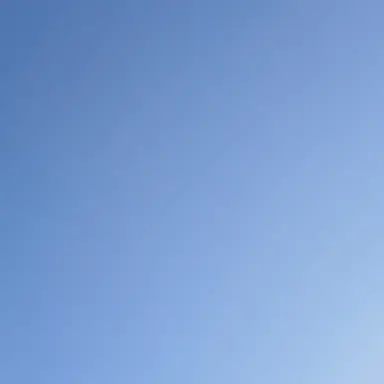 Profile image of 다르단