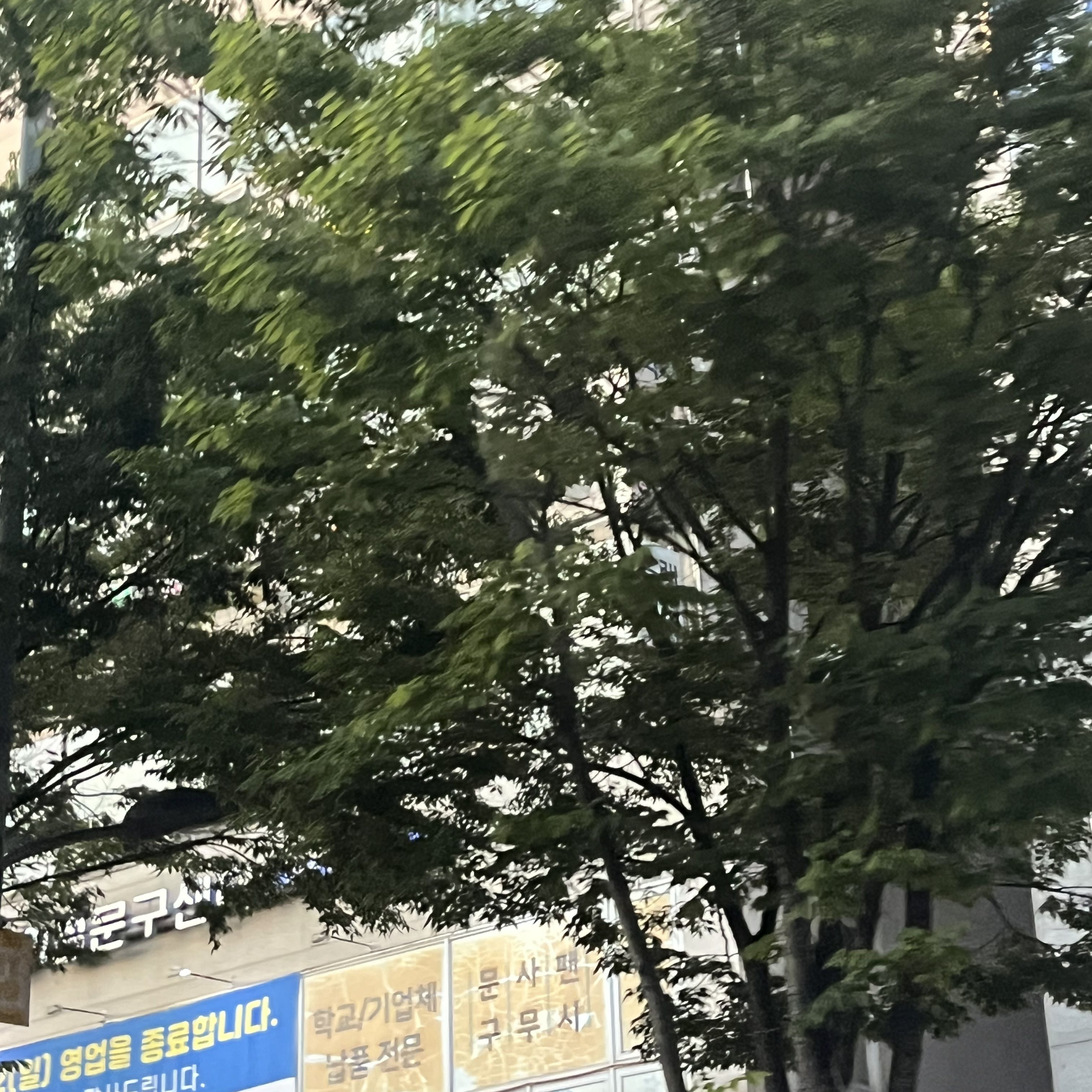 사이코패스 테스트(오비스트) 대표 이미지