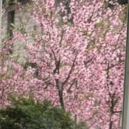 Profile image of 지원