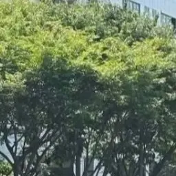 Profile image of 나경