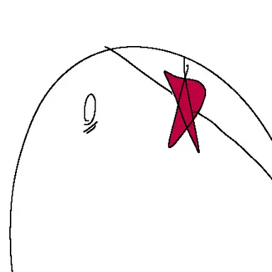 Profile image of Turkonnesia