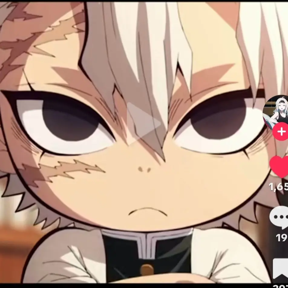 LightAge4597의 작아진 사네미