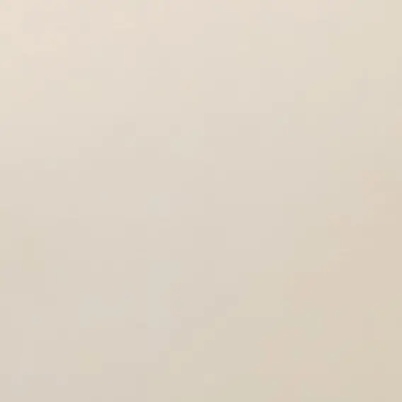 RoomyGown2272의 한지성