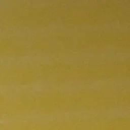 Profile image of 꽥