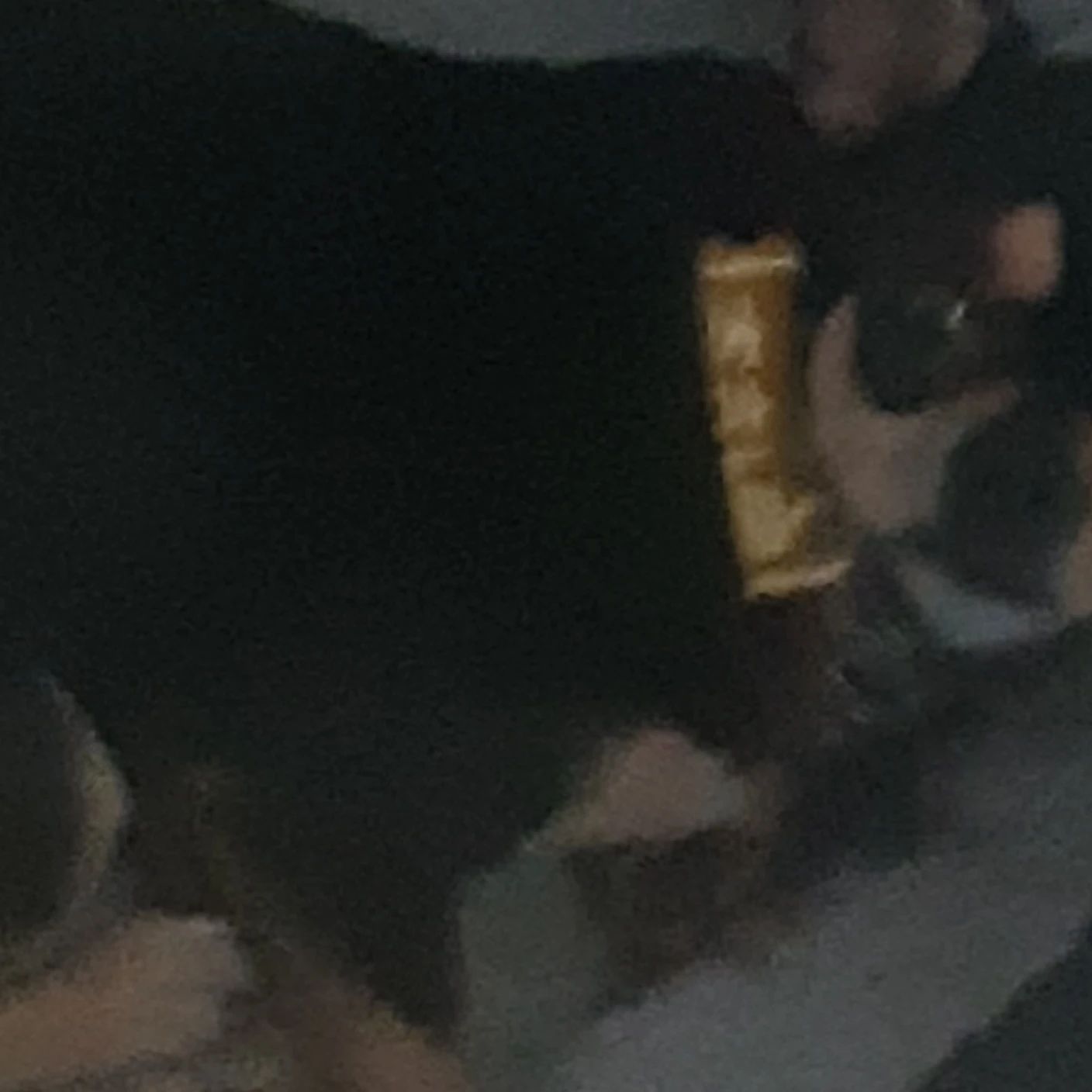 친구들이랑 동거하셈.