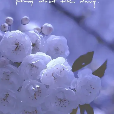 Profile image of 제작자