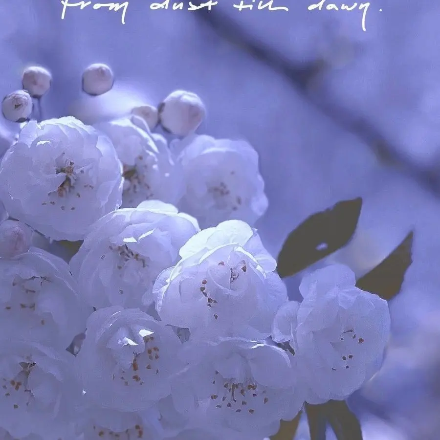 Alldead.의 님들알아서하삼(2)