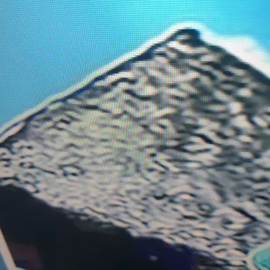 Profile image of 삼각김밥2