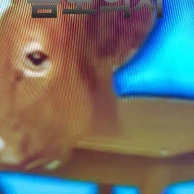 Profile image of 음모의자