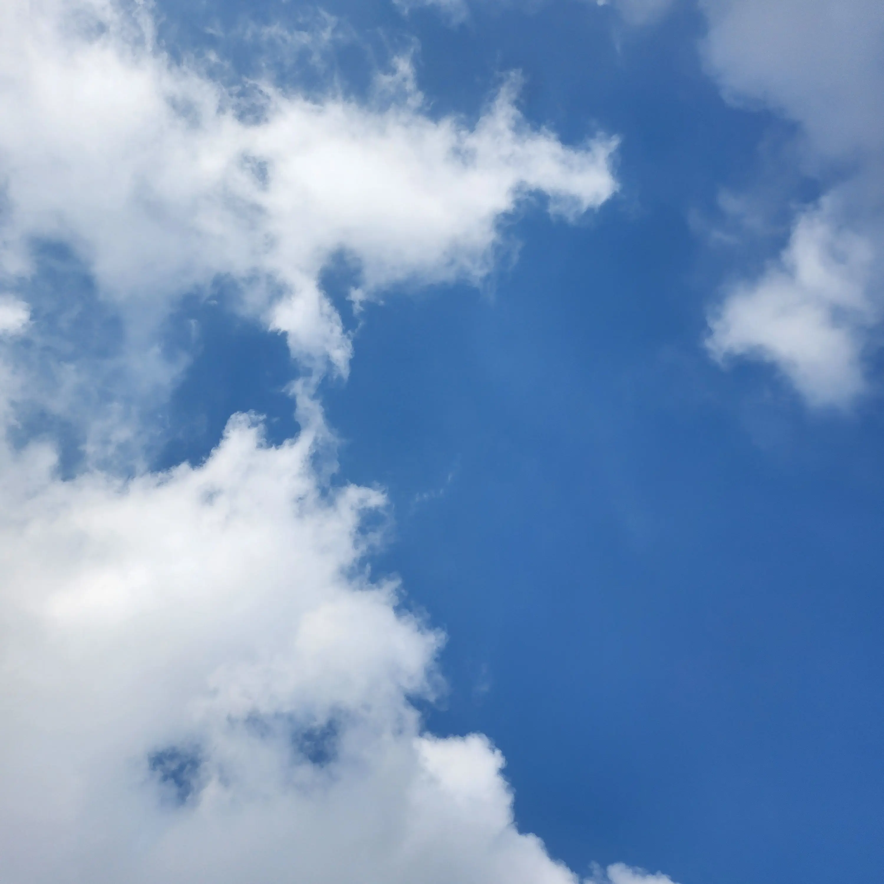 FAM의 빅뱅중학교