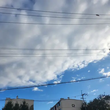 Profile image of 동영배