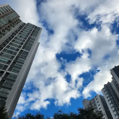 Profile image of 권지용