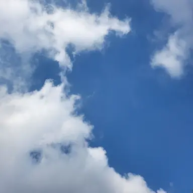 Profile image of 강대성