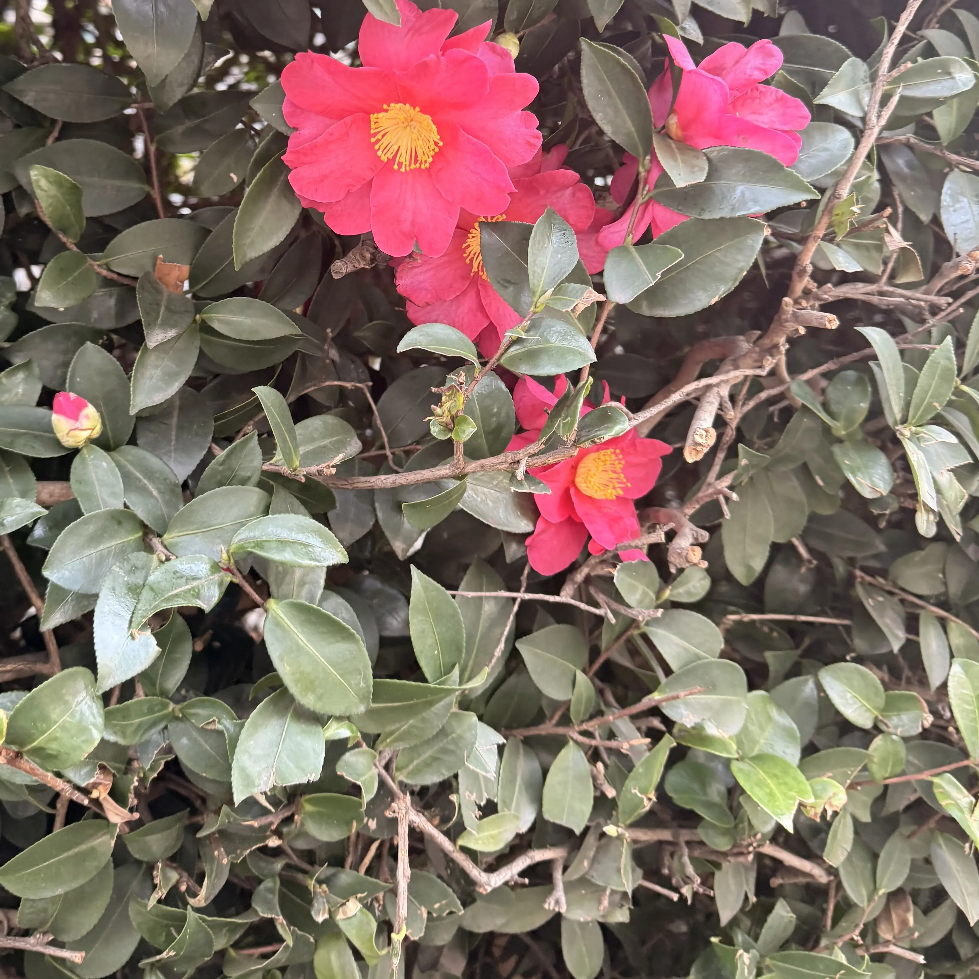 IvoryInk4787의 仕事仲間？先輩、後輩……？