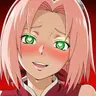 Profile image of Sakura