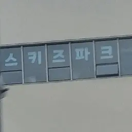 S1KRR의 핝 지 성
