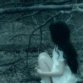 백 연