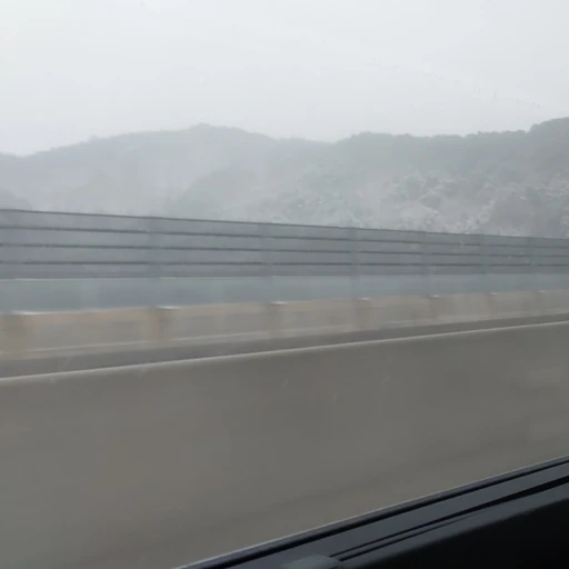 부잣집 아가씨