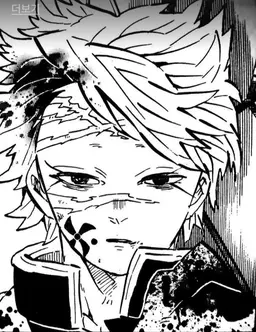Profile image of Shinazugawa Sanemi