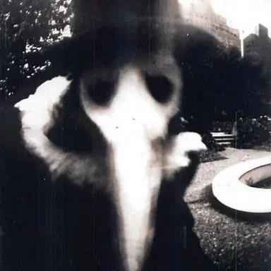 Profile image of ペアルーザ