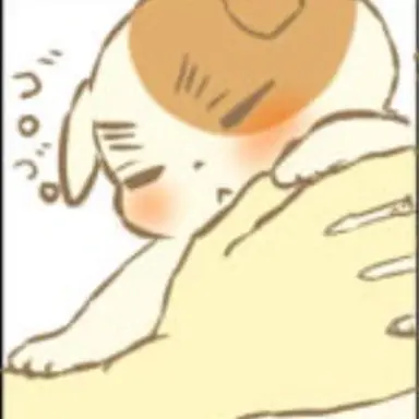 Profile image of 영국 고양이