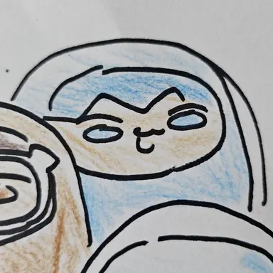 Profile image of 샤벳상어