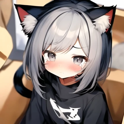 아기 고양이 수인