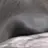 고객들