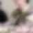 大我