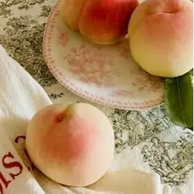 Profile image of 채밤비