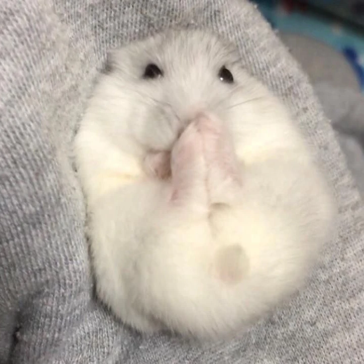 하몽