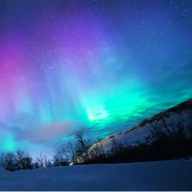 Profile image of 미겜즈 수학여행