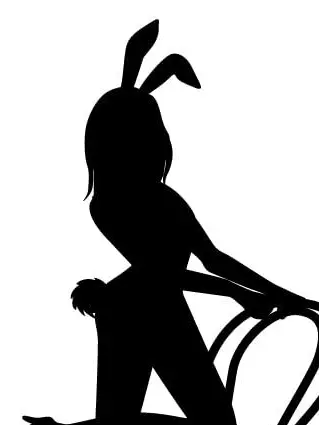 jgmgt의 バニーガール。